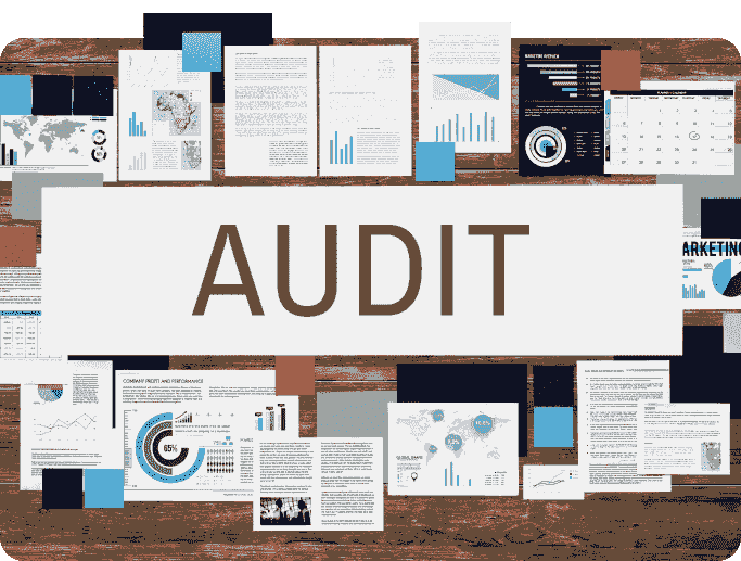 audit